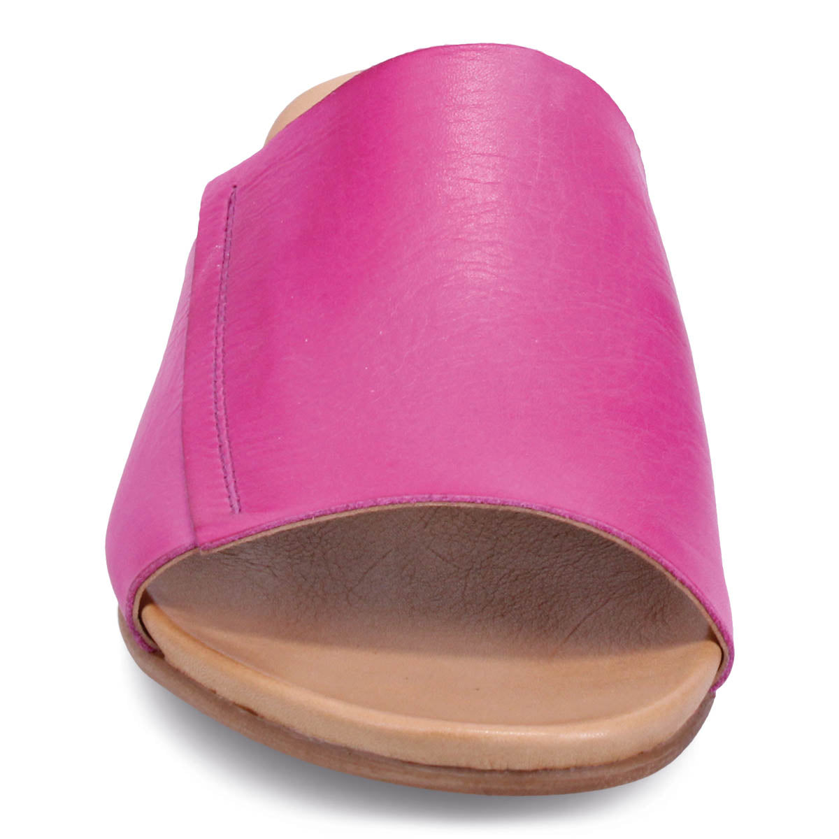 FUCHSIA | Front