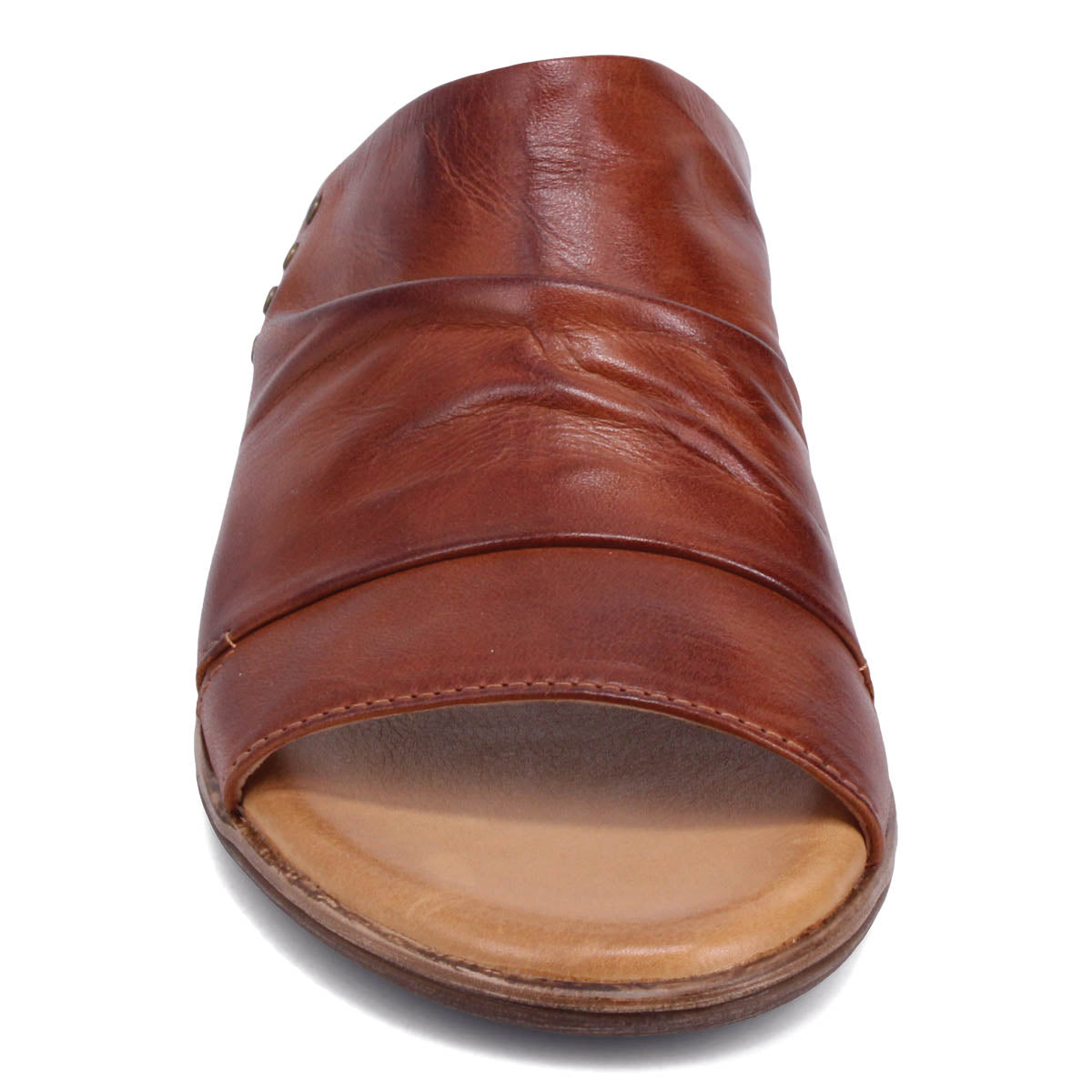 BRANDY | Front