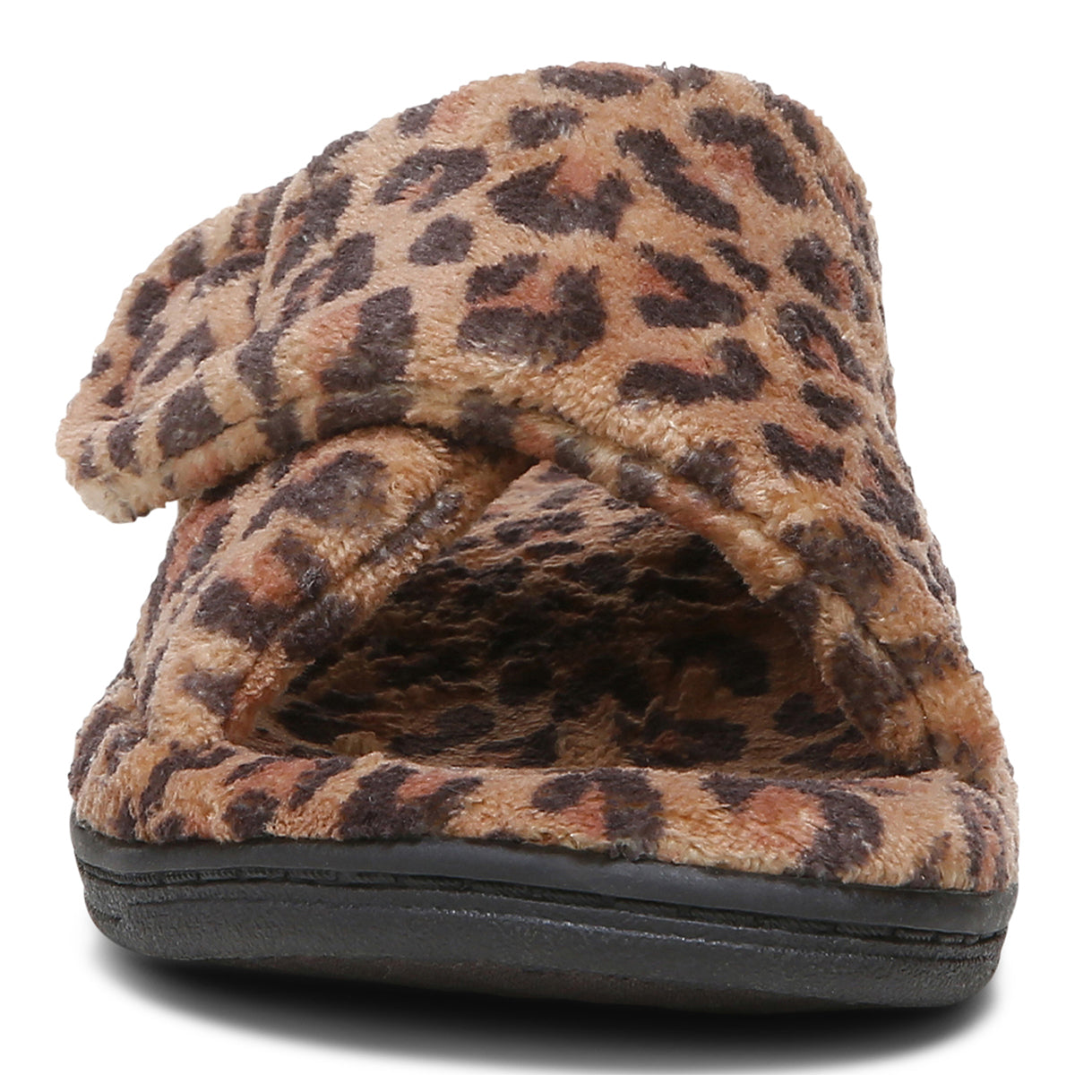 BROWN LEOPARD | Front